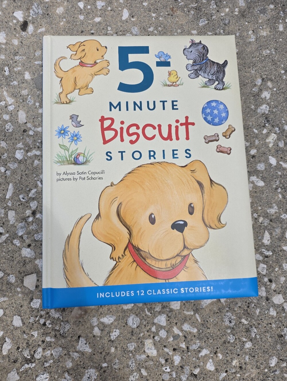 5-Minute Biscuit Stories - Hardcover